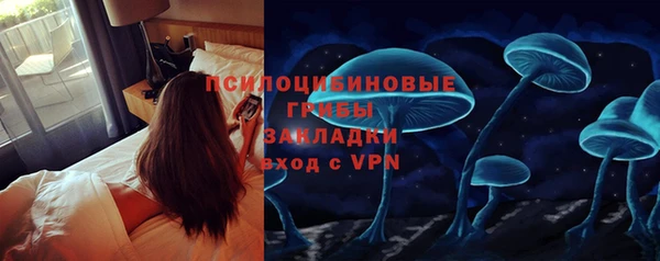 крисы Балахна