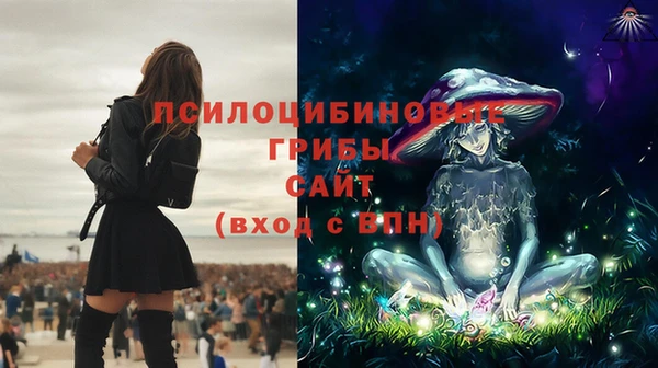 крисы Балахна